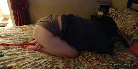 Laine pornstar erotic pic