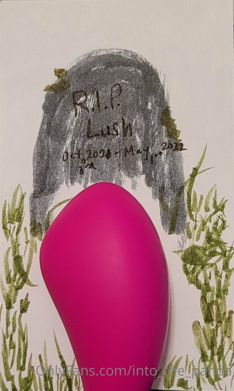 Laine model adult img