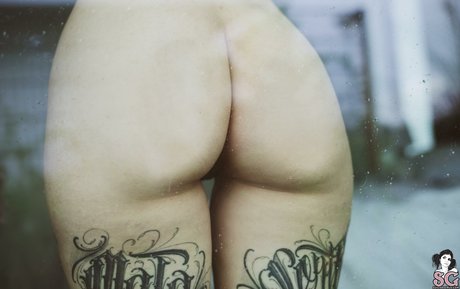 Zzef xxx model picture