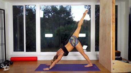 Zuzka Light best star archive