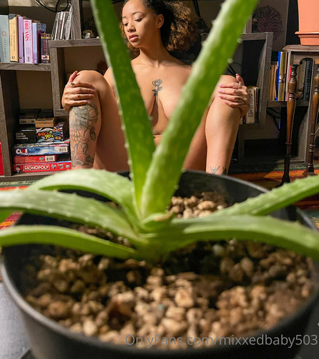 Mixxedbaby503 pornstar high quality picture