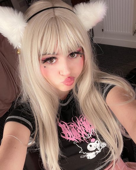 Willow neptune model top gallery