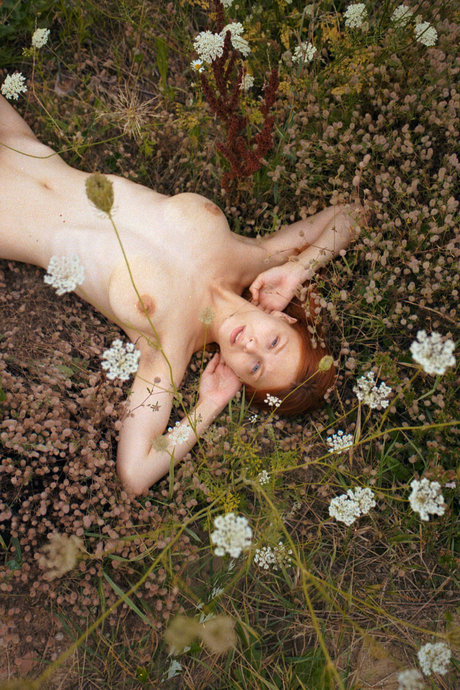 Sonia Red Fox_ star high quality picture