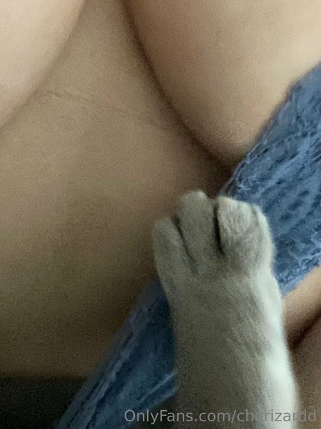 Charizard beautiful actress archive