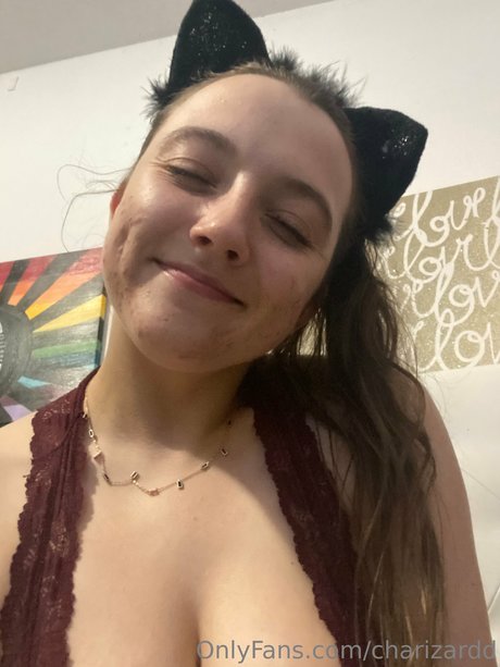 Charizard model top photo