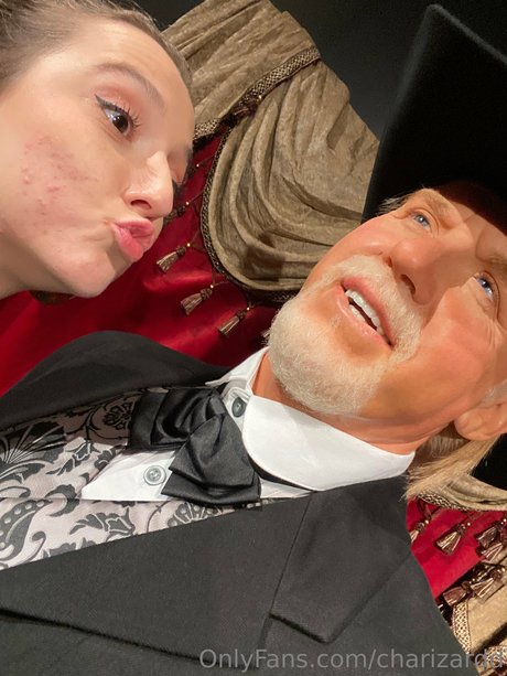 Charizard model hot img