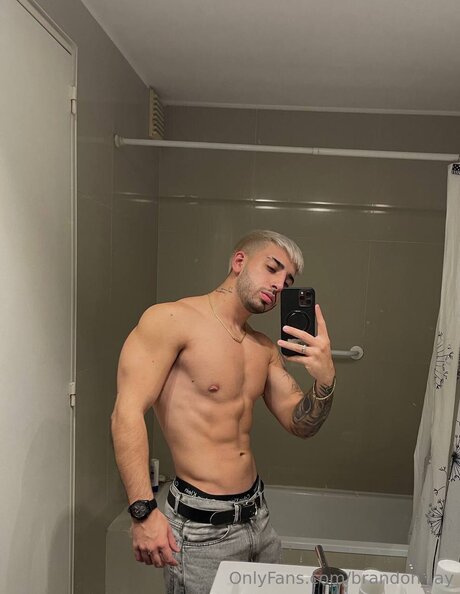 Brandon Jay pornstar pretty photos