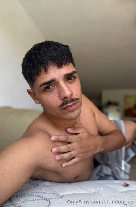 Brandon Jay free pornstar gallery