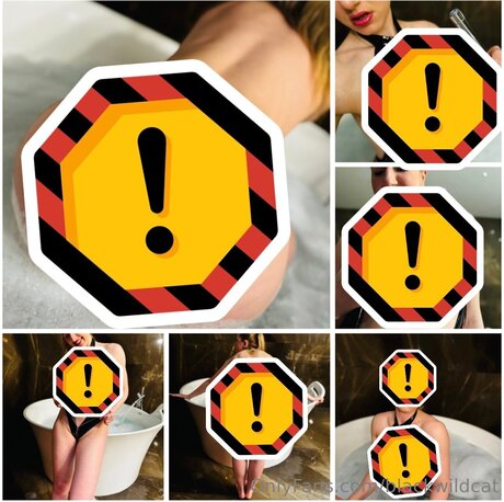 Blackwildcat art star pics