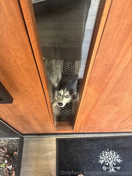 Alyshanewman pornographic model picture