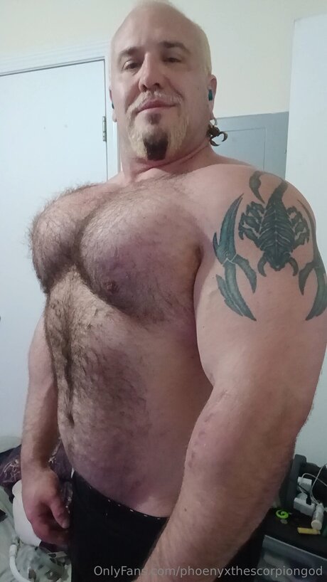 Phoenyxthescorpiongod hot star gallery