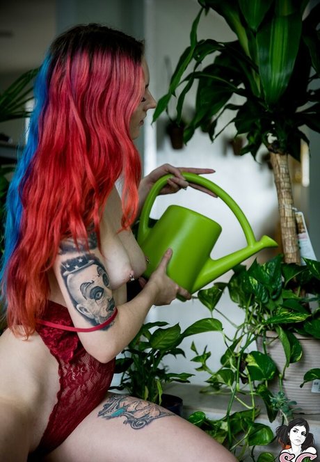 Zorii beautiful model image