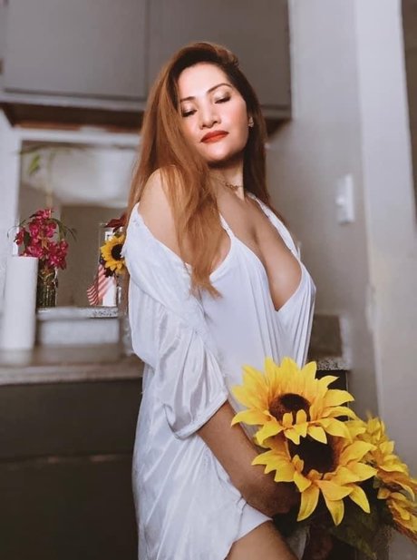 Zo Kitchen free star pictures