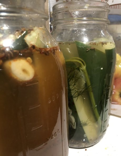 Babybushwhacker erotic actress images