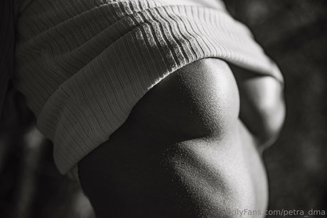 Petra dma star high quality photo