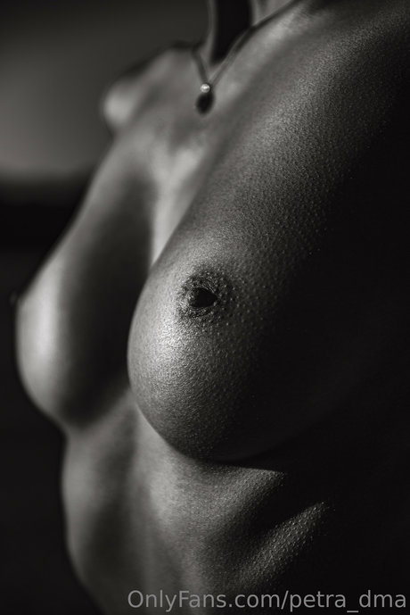 Petra dma model best gallery