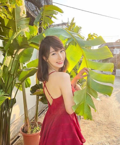 Zoe So pornographic actress galleries