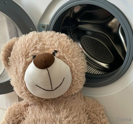 zoenafree pretty pornstar pictures