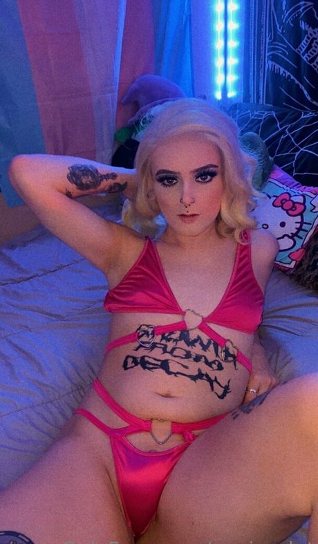 veeisaslut nice star archive