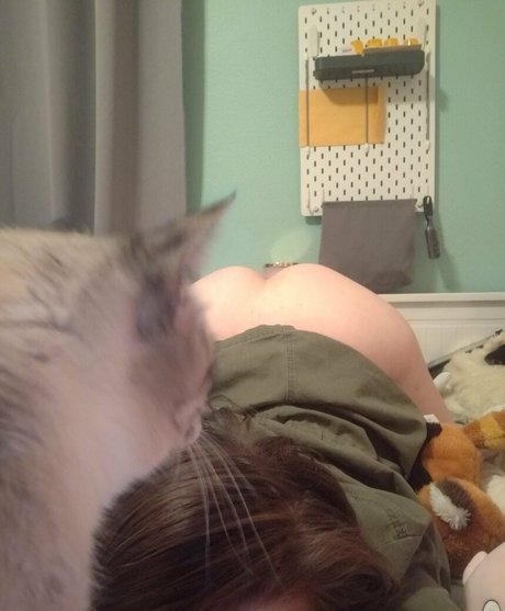 korviid xxx pornstar images