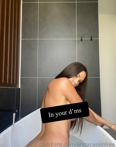 anitacassinfree art pornstar gallery