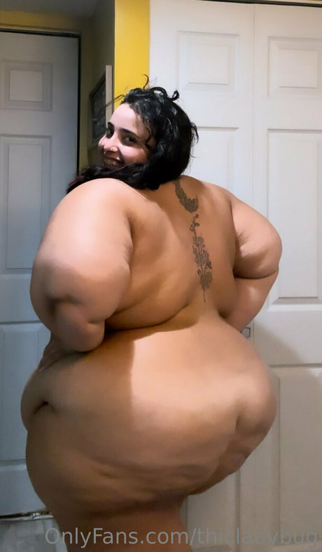 thicladybug nice star archive