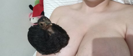 Alinorac nice pornstar img