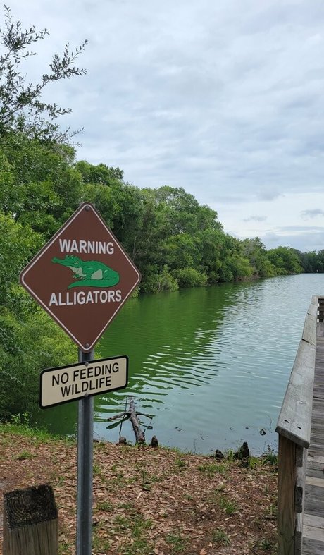 Ddiamondprincess star sexy images