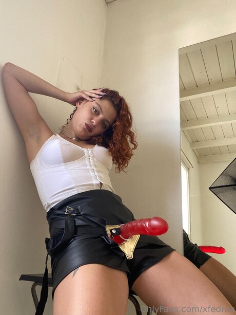 Xfedrax best model img