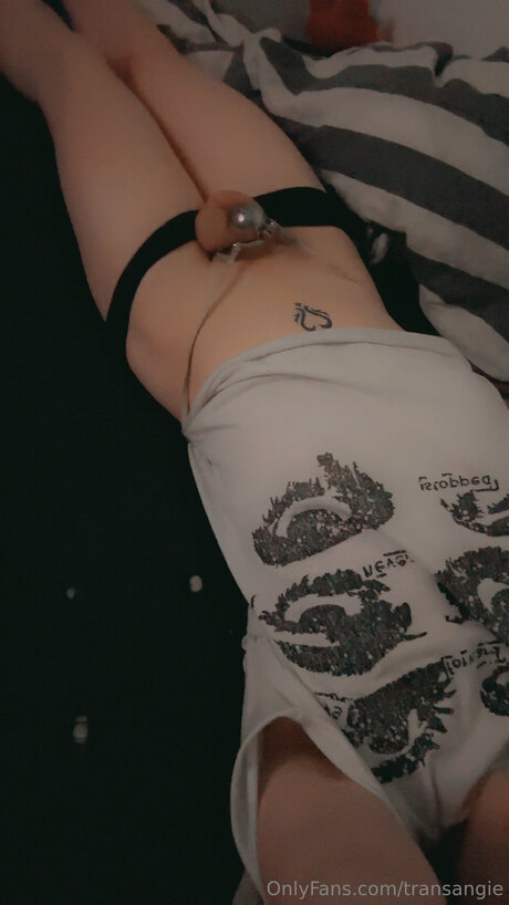 Transangie pornstar nice gallery