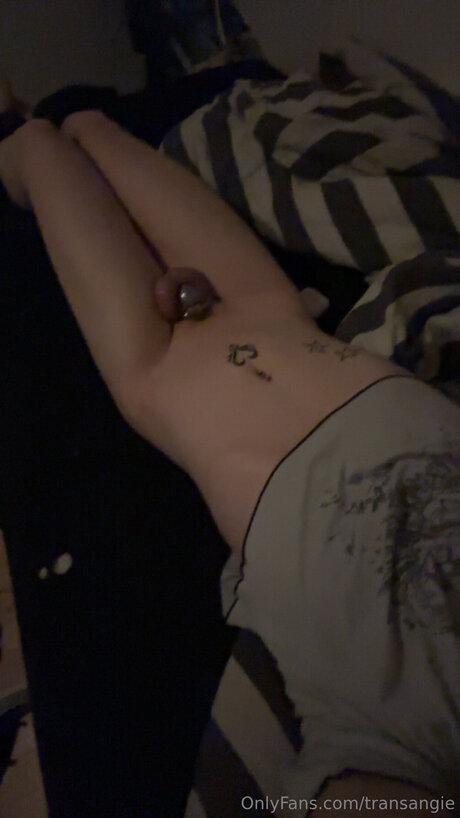 Transangie free pornstar galleries