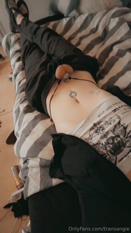 Transangie star nudes image