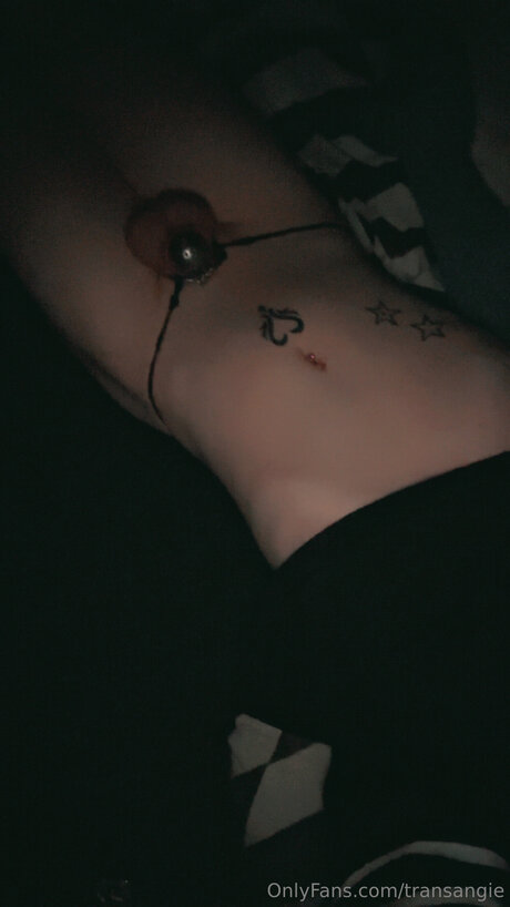 Transangie nice star images