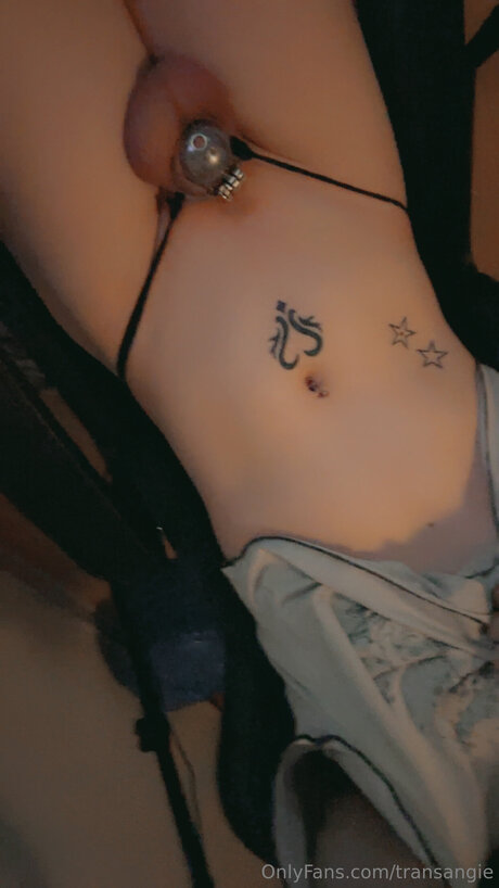 Transangie star high quality galleries