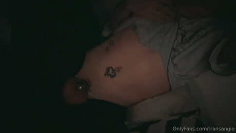 Transangie pornstar nudes image