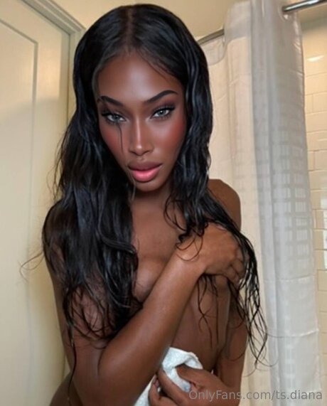 Ts Diana perfect pornstar image