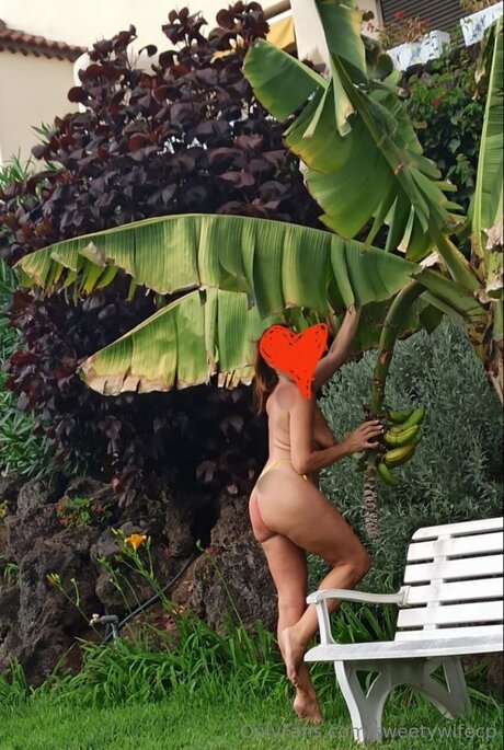 Sweetywifecp pornographic model archive