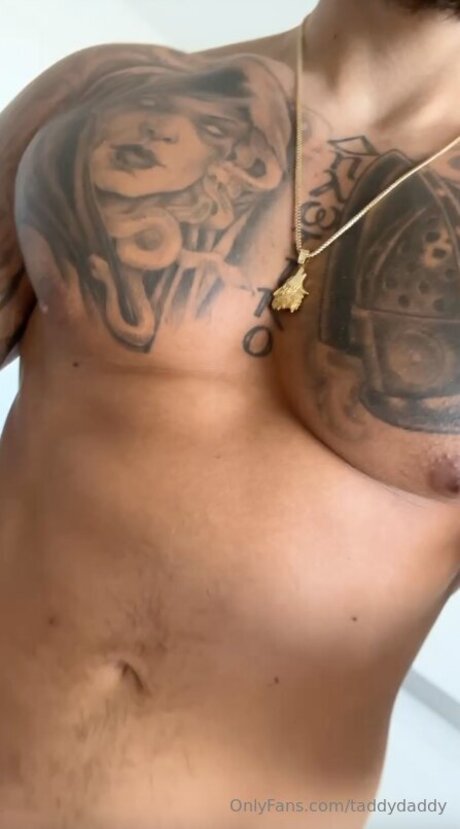 Taddydaddy star top galleries