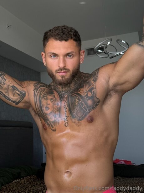 Taddydaddy nude pornstar archive