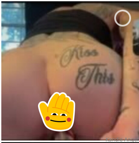 Tattedraiderette erotic star photo