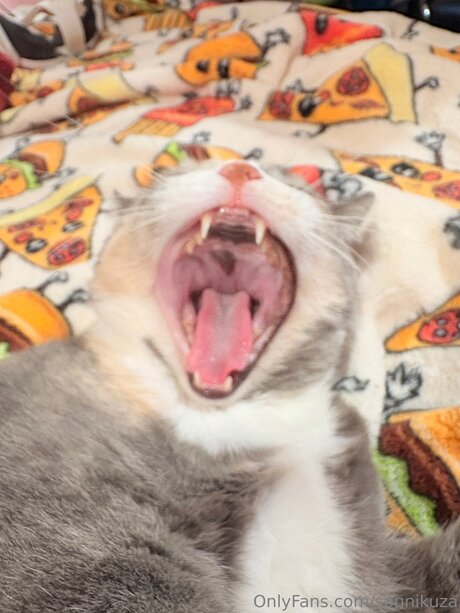 Sonnikuza porn actress picture