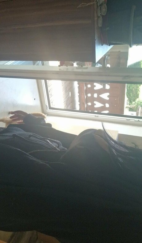 reverse gangbang onlyfans sexy naked img