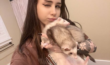 kiwisunset porn star pictures