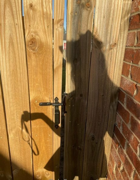 kaylakitsune pornographic actress image