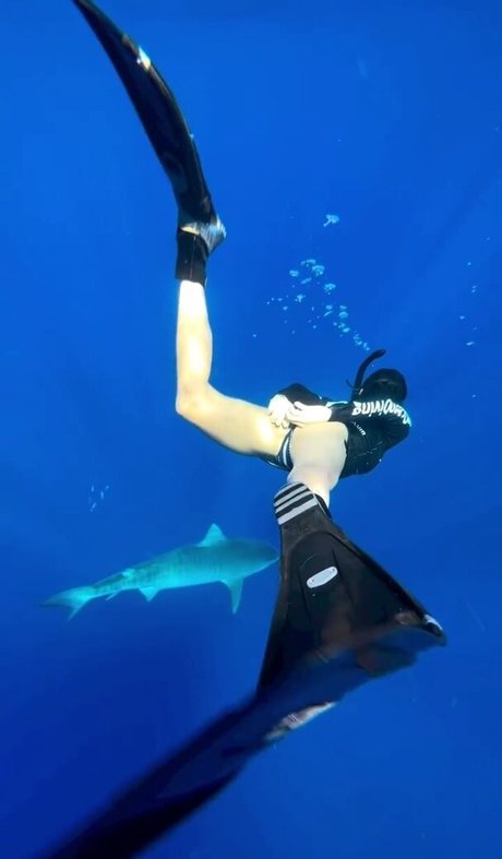 Nina Dobrev pornstar erotic pic