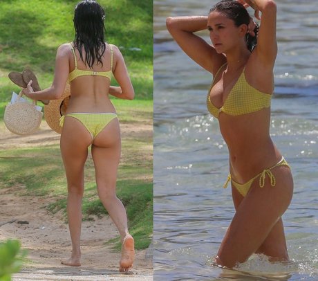 Nina Dobrev star hot pictures