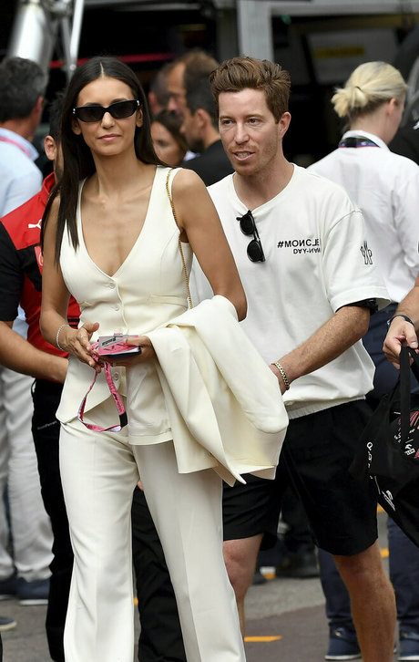 Nina Dobrev art actress picture