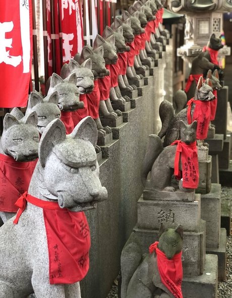 Pchan666 star pretty img