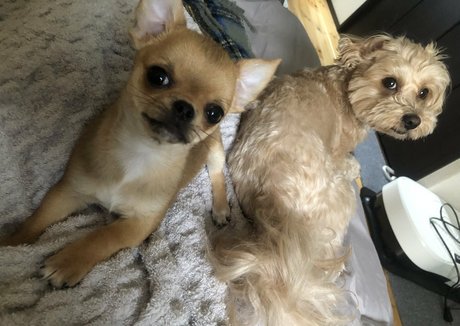 Pchan666 nude pornstar pics