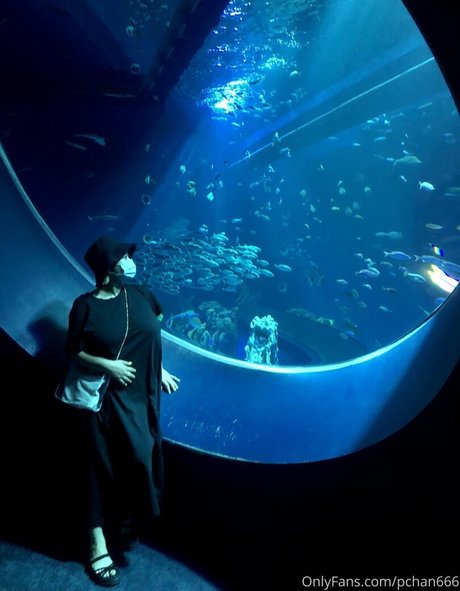 Pchan666 beautiful actress pic